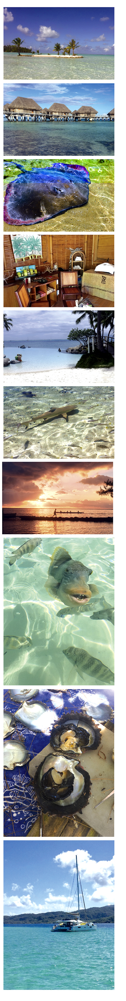 Tahiti picture