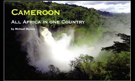 Cameroon – All Africa in one Country