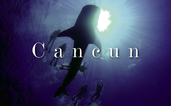Mexico – Cancun: The Wonder of Whale Sharks