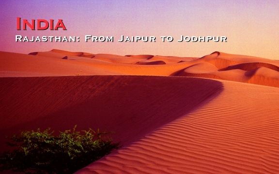 India – Rajasthan: From Jaipur to Jodhpur