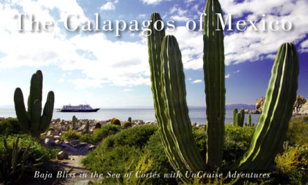 The Galapagos of Mexico
