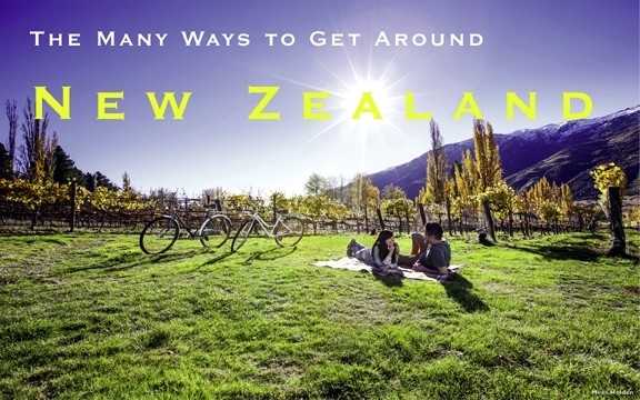 The Many Ways to Get Around New Zealand
