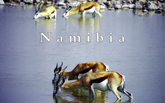 Namibia – Predator or prey