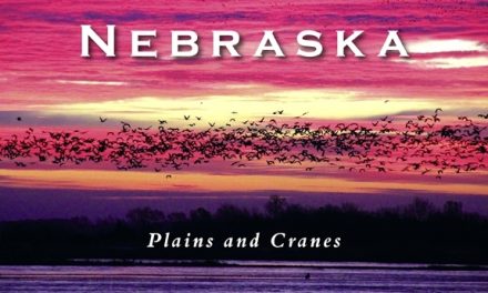Nebraska – Plains and Cranes