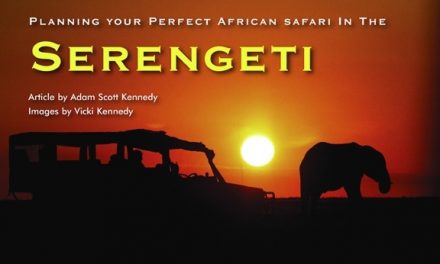 Tanzania – Planning your Perfect African Safari In the Serengeti