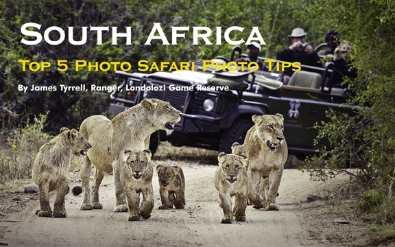 South Africa – Top 5 Photo Safari Photo Tips 