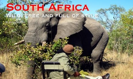 South Africa – Wild, free and full of style 