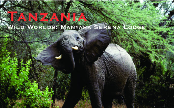 Tanzania – Wild Worlds: Manyara Serena Lodge