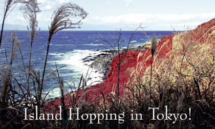 Japan – Island Hopping in Tokyo!