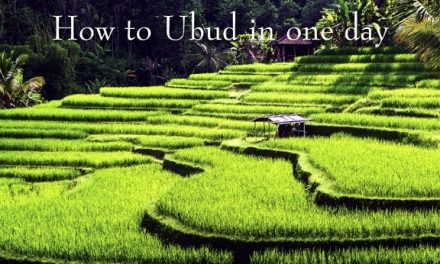 Indonesia – How to Ubud in one day