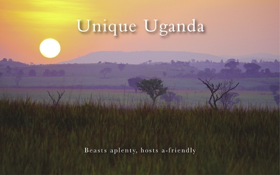 Unique Uganda: Beasts aplenty, hosts a-friendly