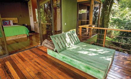 Immerse Yourself in the Beauty and Culture of  Costa Rica at Chayote Lodge