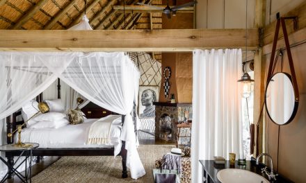 Singita Ebony Lodge reopens after a total redesign