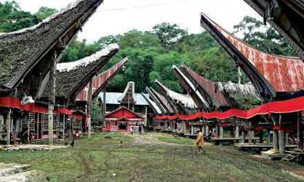 Tana Toraja, Sulawesi, Indonesia:  A Defining Experience