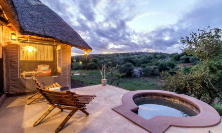 The Safari Lodge at Amakhala Game Reserve, South Africa