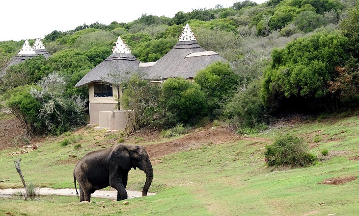 photo-courtesy-of-safari-lodge