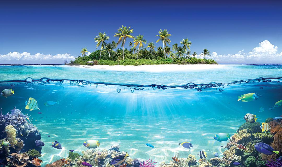 TROPICAL TIDBITS SPRING 2022