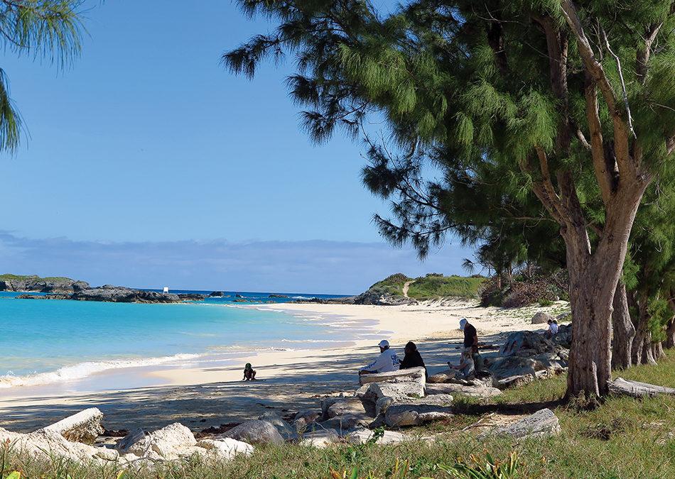 Uniquely Bermuda