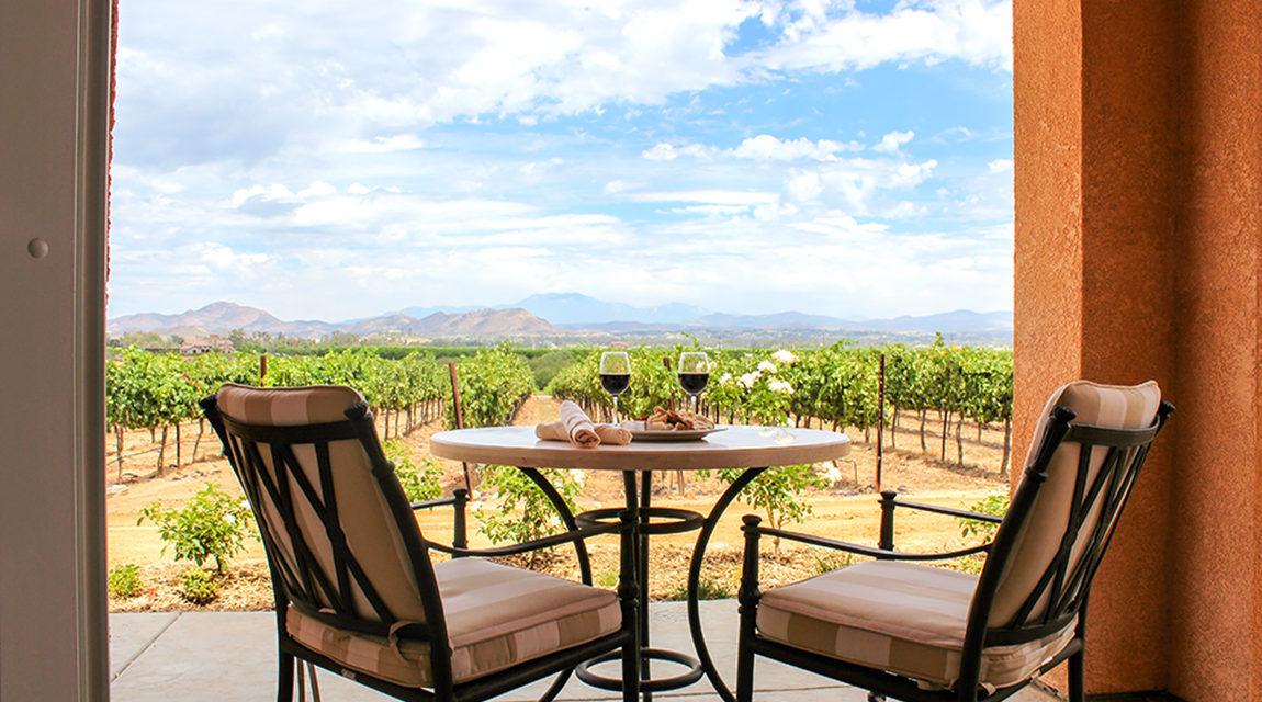 Sunny Vineyard Escape at Carter Estate Winery and Resort