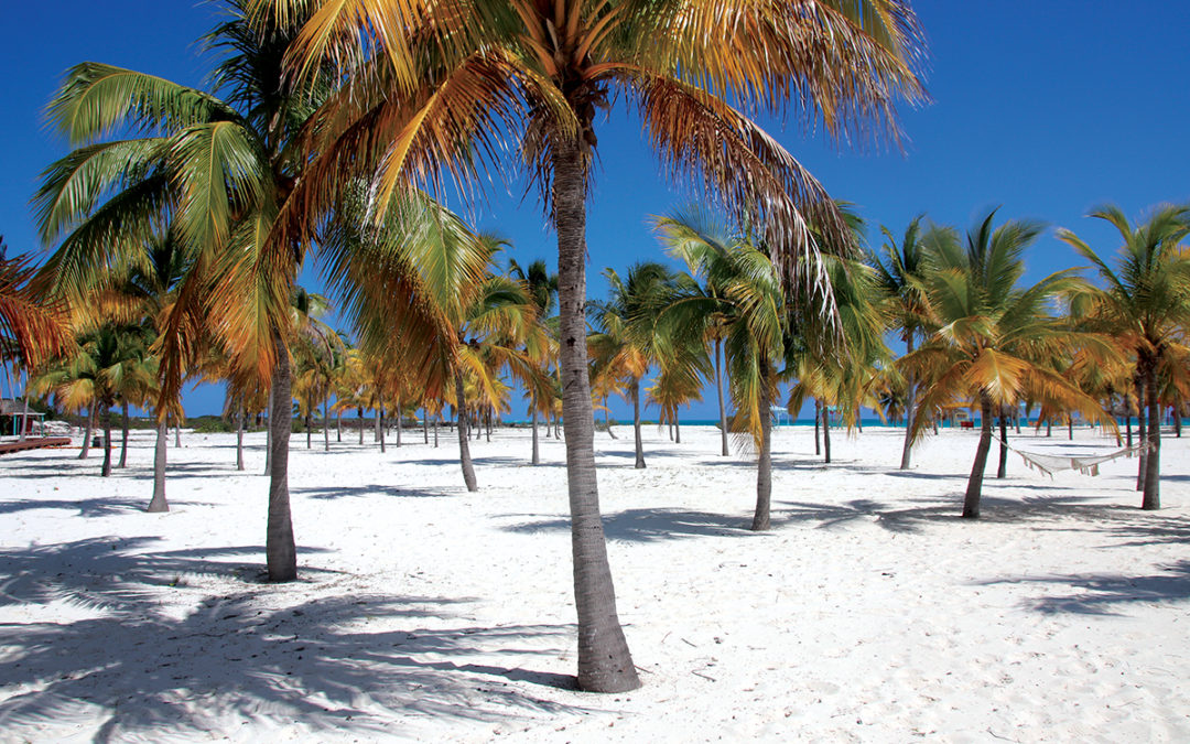 Serene, Wild Beauty in Cayo Largo, Cuba