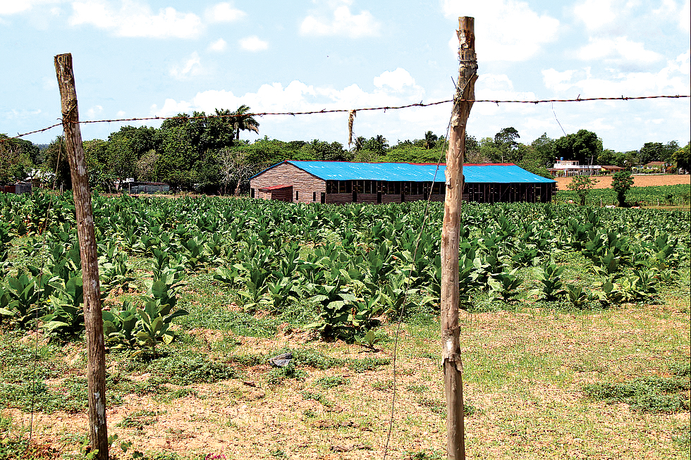 Cuba’s Tobacco Route, Pinar Del Rio