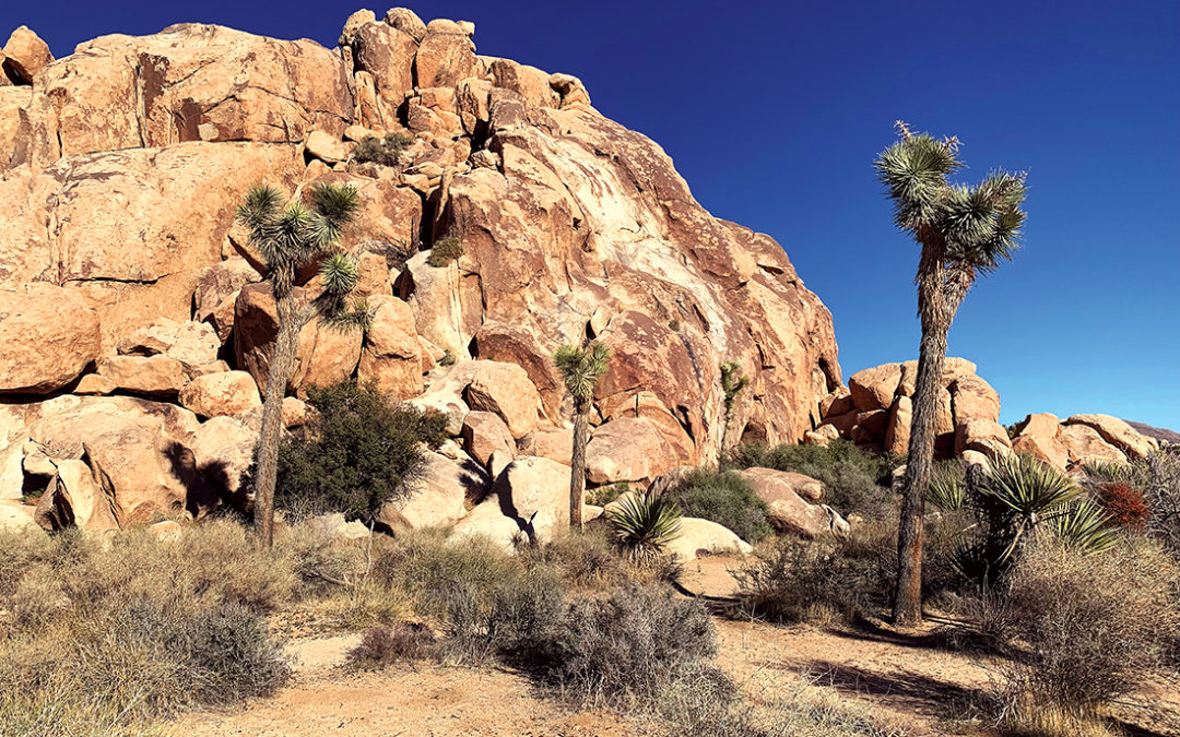 SoCal Desert Road Trip