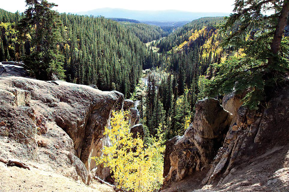 Yukon Wilderness Dreams