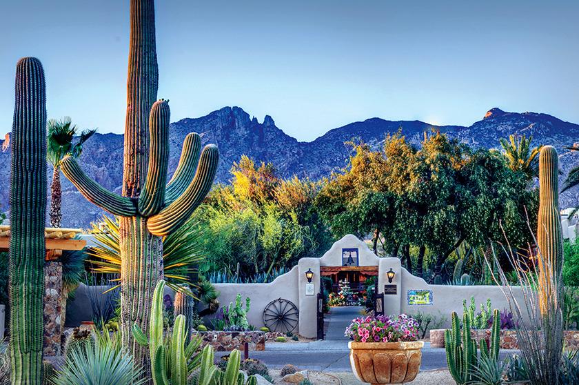 Stay and Play in the Sonoran Desert at Hacienda del Sol, Tucson
