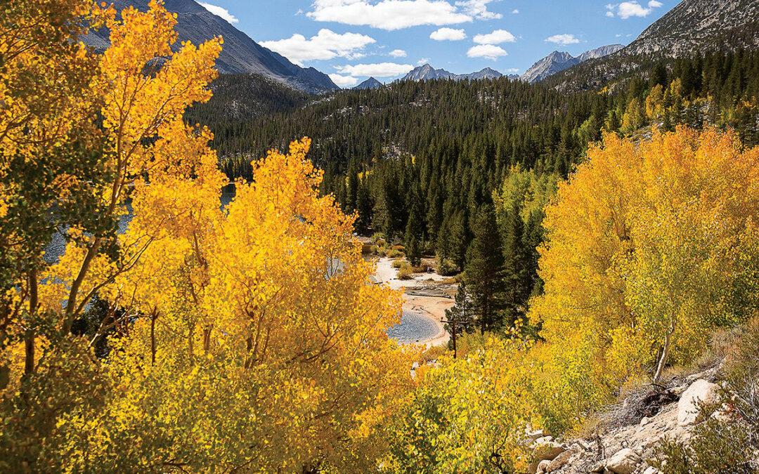 Flaming Colors Brighten Mammoth Lakes’ Fall Season