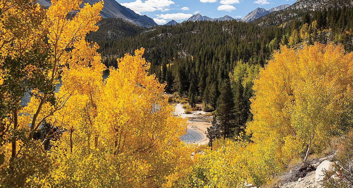 Flaming Colors Brighten Mammoth Lakes’ Fall Season