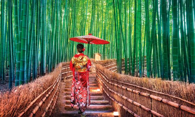 Why You’ll Want to Add Japan to Your Travel Bucket List!
