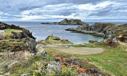 The Road to Twillingate, Newfoundland & Labrador