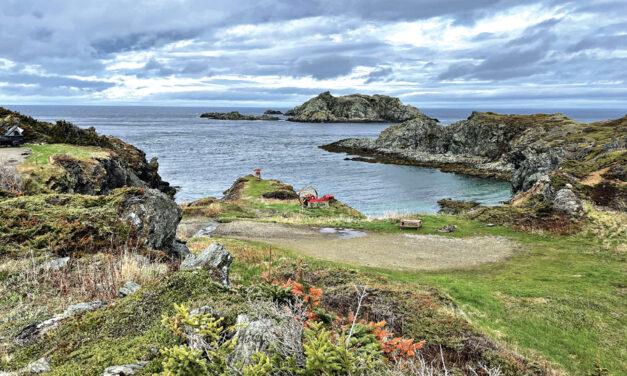 The Road to Twillingate, Newfoundland & Labrador