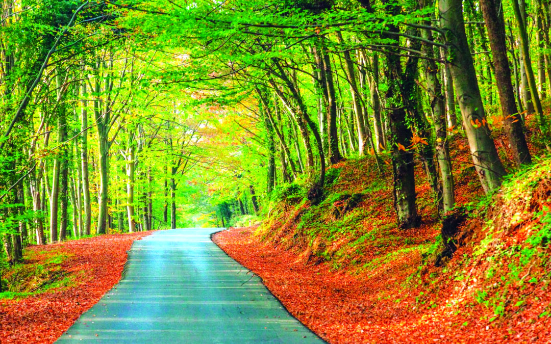 Venture beyond the boardroom: discover the top accessible hiking trails Istanbul has to offer