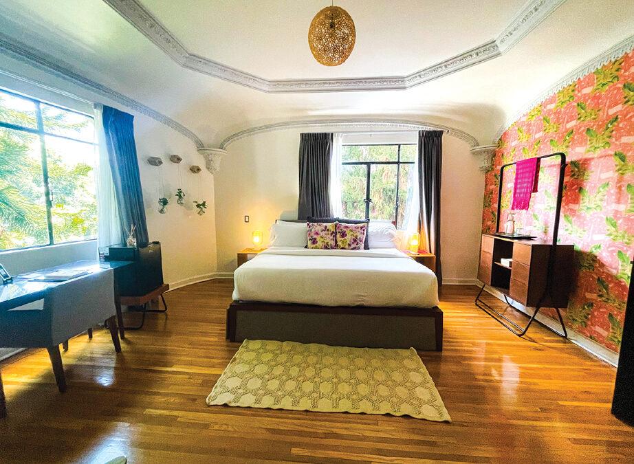 Pug Seal Allan Poe: Home Sweet Home in Mexico City