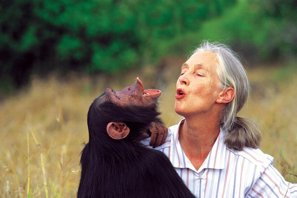 G Adventures expands ‘Jane Goodall Collection’ in honour of environmentalist’s 90th birthday