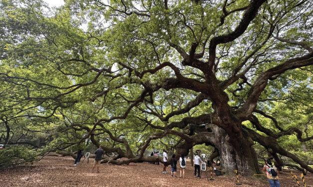 Charleston: Then and Now