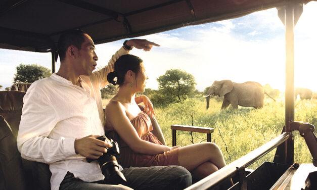 Lion World Travel Unveils the Top Three African Honeymoon Destinations for 2024