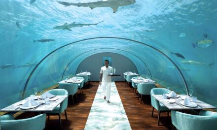 The Conrad Maldives Rangali Island Eating and drinking in paradise