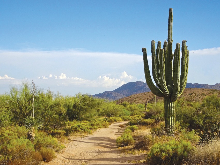 Discovering Scottsdale, Arizona