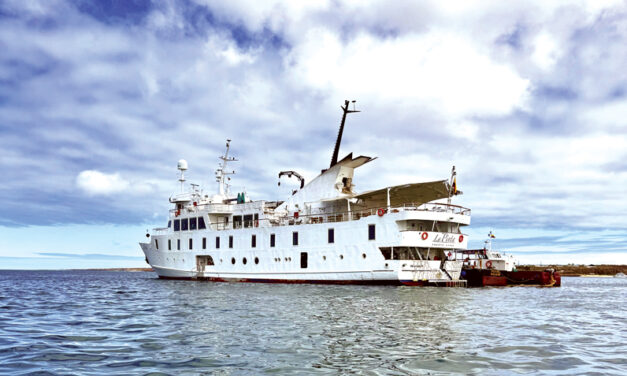 A Small Ship Cruise Beyond the Ordinary My Galapagos Adventure with Metropolitan Touring