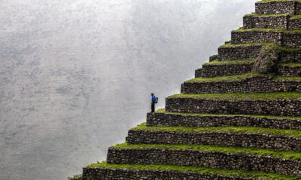 Explorandes Celebrates Golden Anniversary