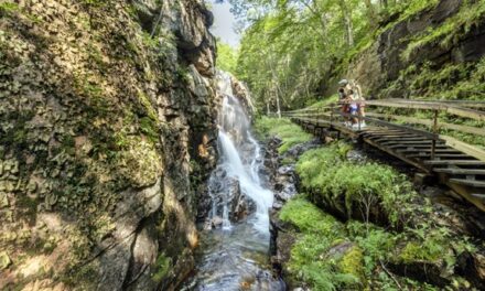 Add New Hampshire to  Your Travel Plans