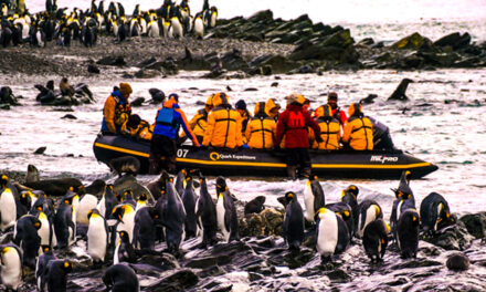 Six Adventurous Cruises for Intrepid Travelers