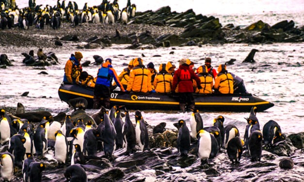 Six Adventurous Cruises for Intrepid Travelers
