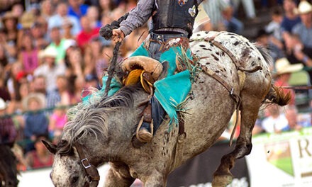 Reno Summer Festivals