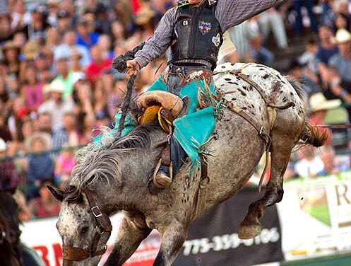 Reno Summer Festivals