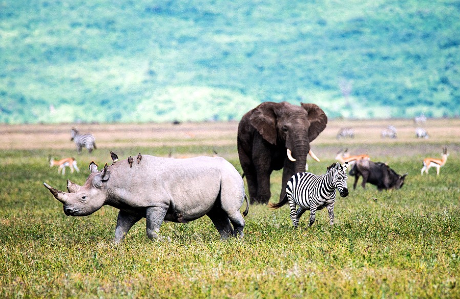 Lion World Travel Offers No Single Supplements on Select Journeys