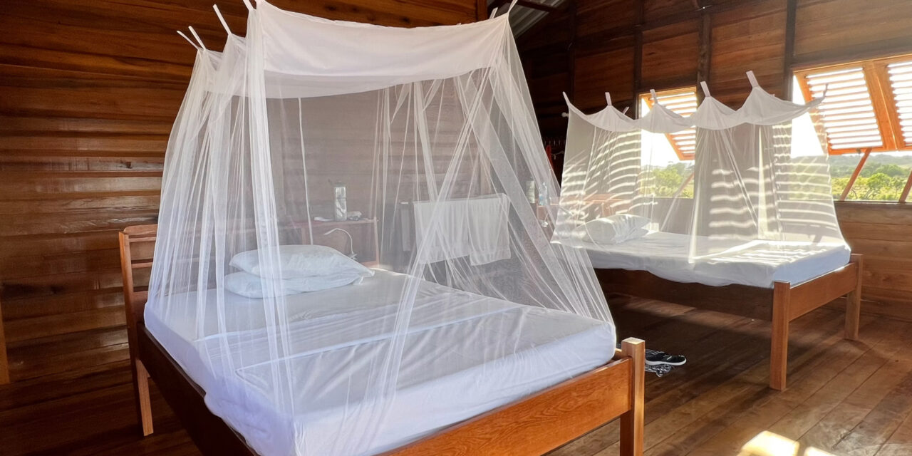 Wichabai and Saddle Mountain Ranches – Authentic Adventures in Guyana’s Savannah