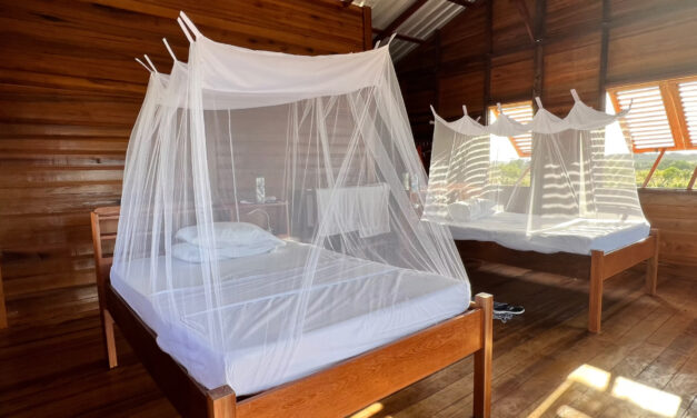 Wichabai and Saddle Mountain Ranches – Authentic Adventures in Guyana’s Savannah